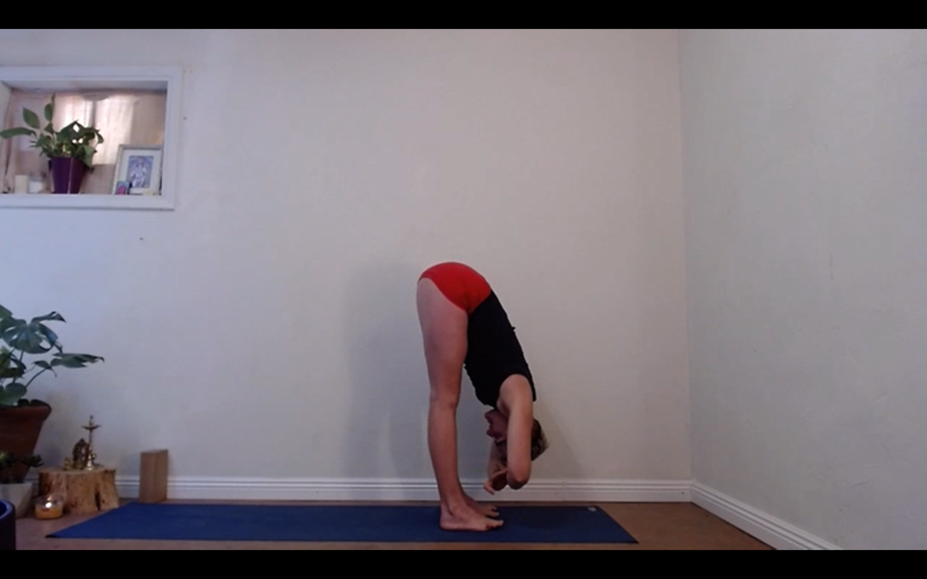 LesbianEarth Yoga with Avery Functional Strength Embodiment Tools for Inner Power and Clarity Yoga for Lesbians