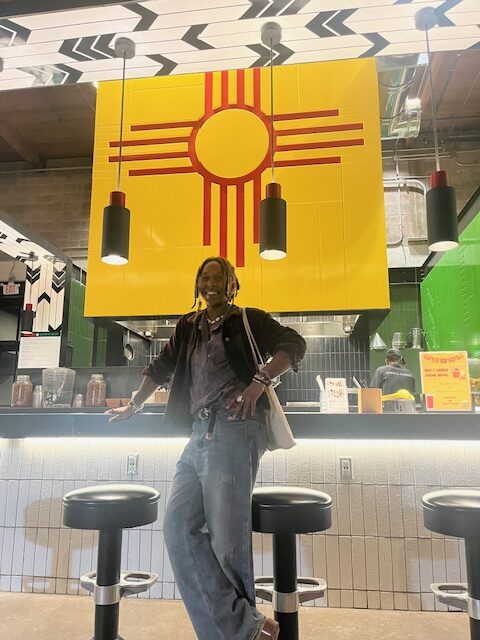 The-New-Map-of-Lesbian-America-2026-Kris-Cerisier-Your-Lesbian-World-Newsletter-LesbianEarth.com