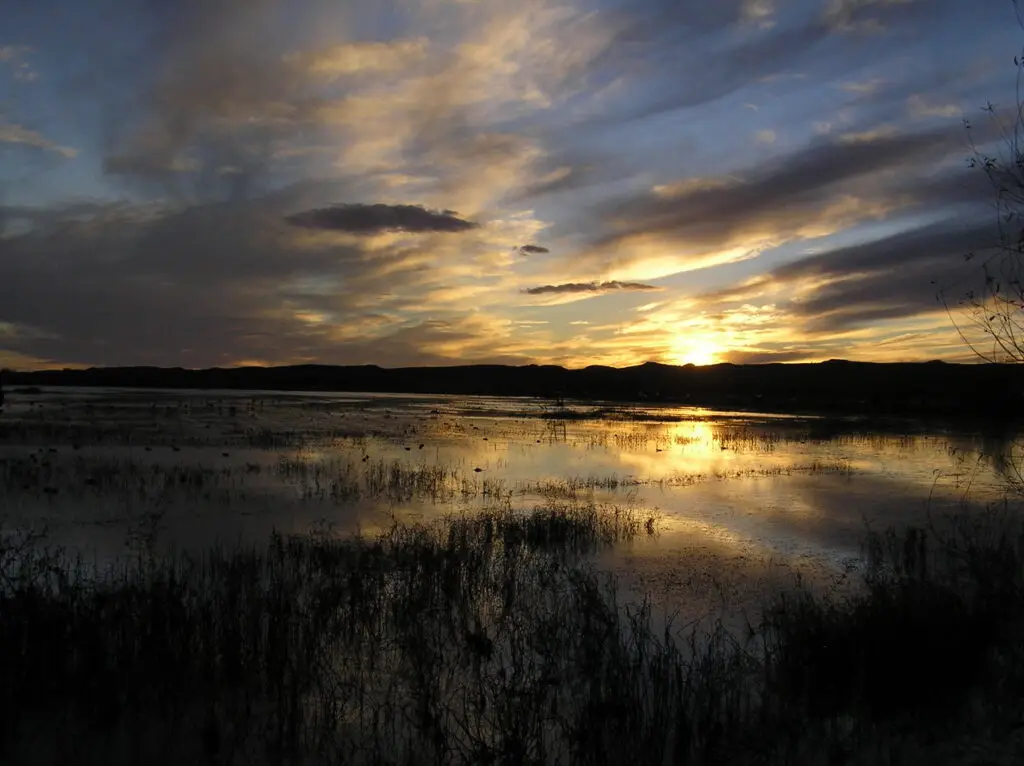 Water connects every living thing—and in the Southwest, its value is impossible to take for granted.